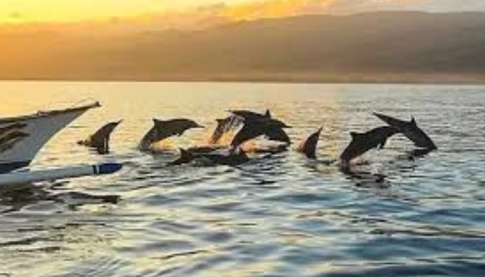 Rekomendasi Tempat Wisata Di Bali Utara 